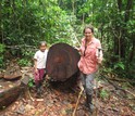Scientist Crystal McMichael with a helper next to a downed tree